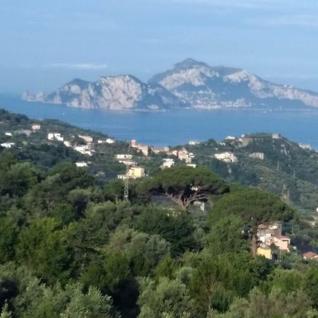 马萨鲁布朗斯La Vista Sul Golfo公寓 外观 照片