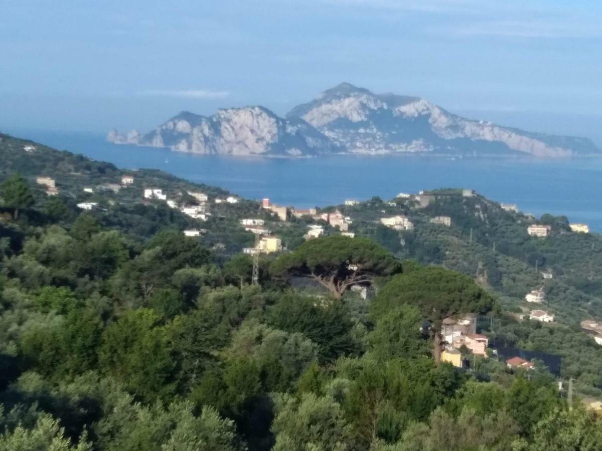 马萨鲁布朗斯La Vista Sul Golfo公寓 外观 照片