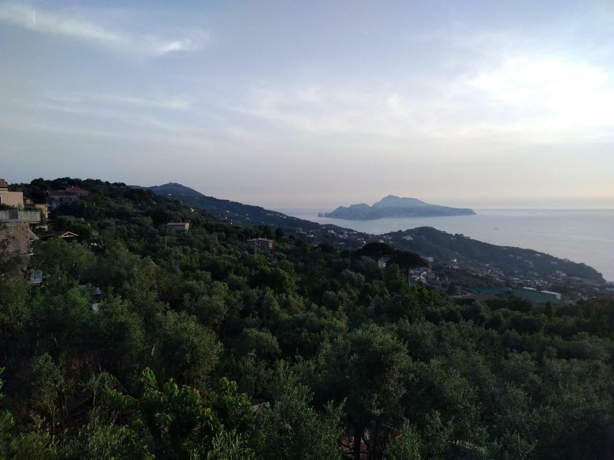马萨鲁布朗斯La Vista Sul Golfo公寓 外观 照片